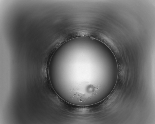 X0000093420313200710191011