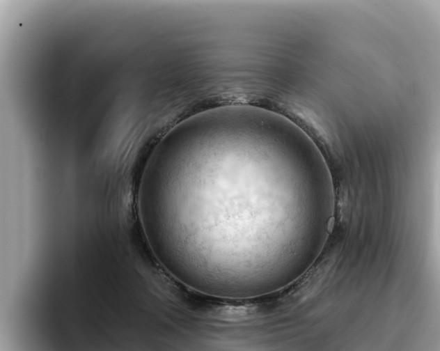 X0000093420314200710191011