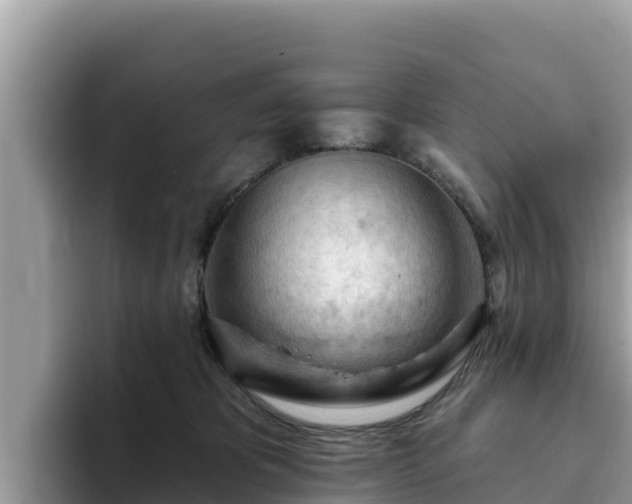 X0000093420325200710191011