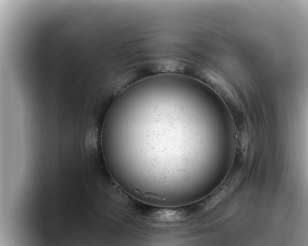 X0000093420326200710191010