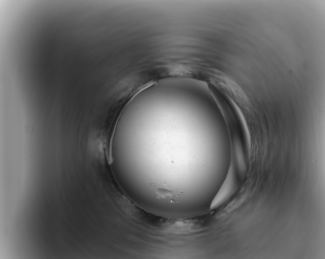 X0000093420329200710191010