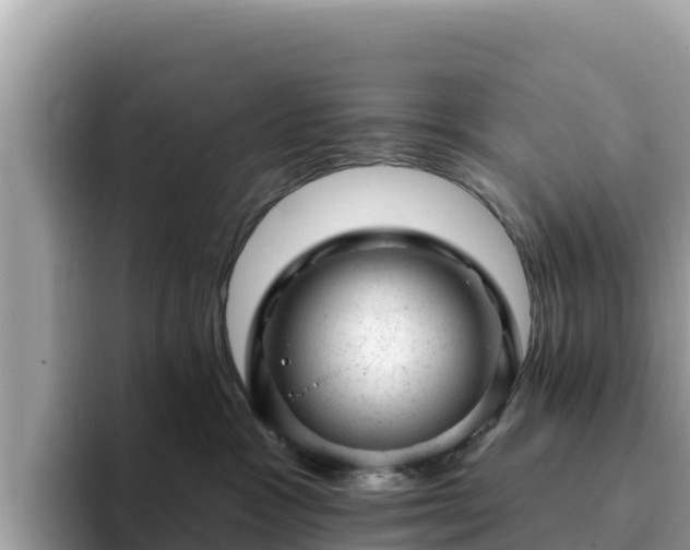 X0000093420333200710191010