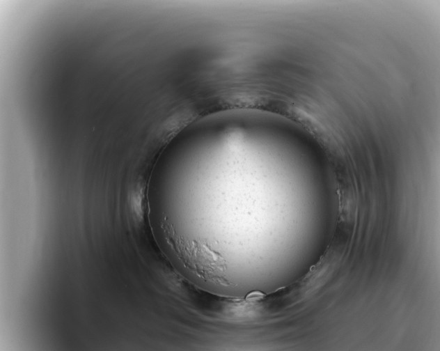 X0000093420334200710191010