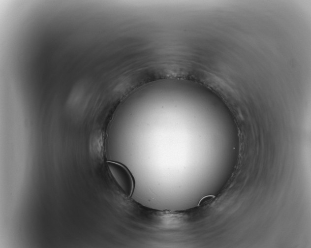 X0000093420336200710191010