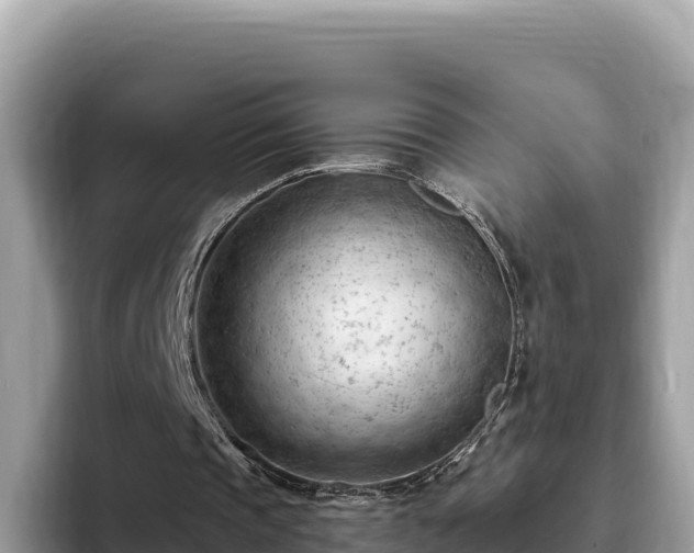 X0000093420337200710191010