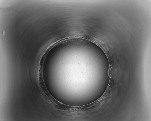X0000093420338200710191010
