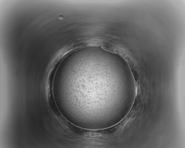 X0000093420339200710191010