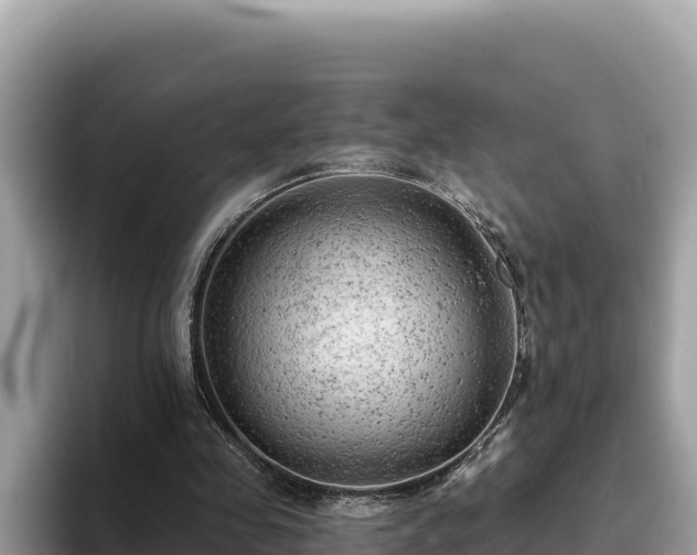 X0000093420341200710191010