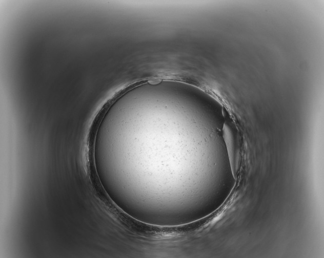 X0000093420342200710191010