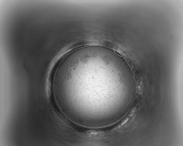 X0000093420343200710191010