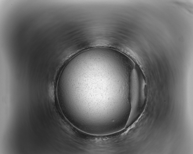 X0000093420345200710191010