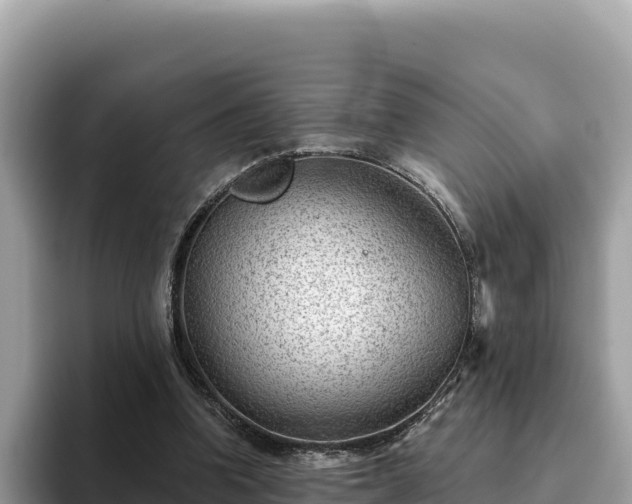 X0000093420346200710191010