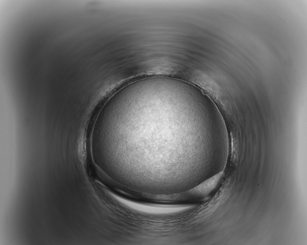X0000093420348200710191010