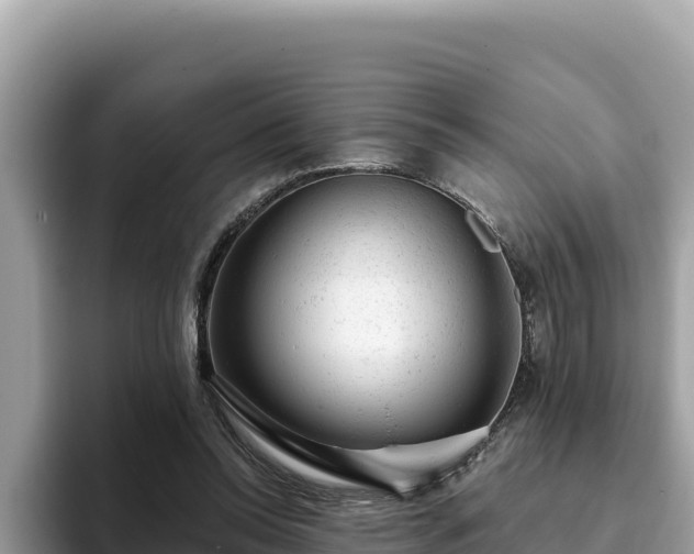 X0000093420350200710191010