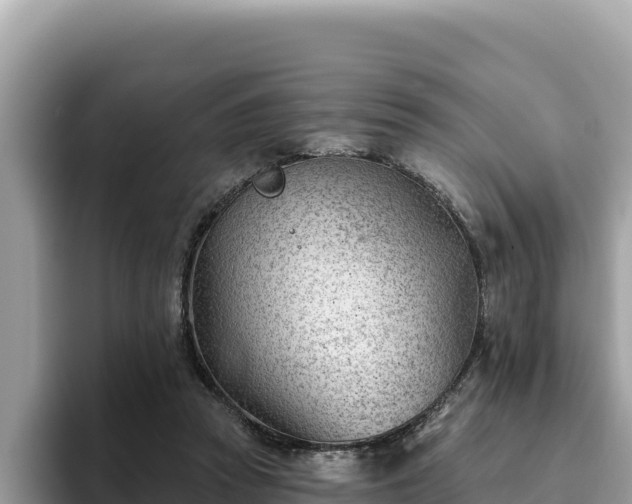 X0000093420353200710191010