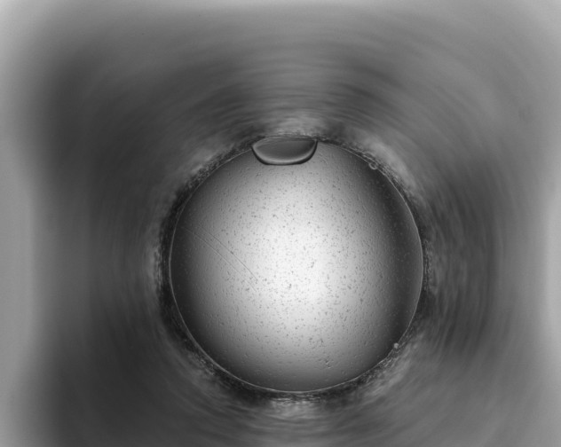 X0000093420354200710191010