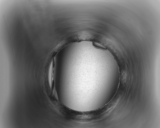 X0000093420356200710191010