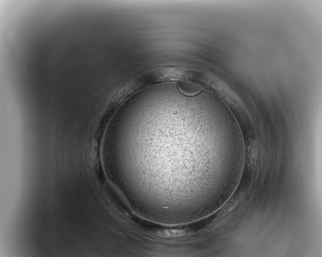 X0000093420361200710191010