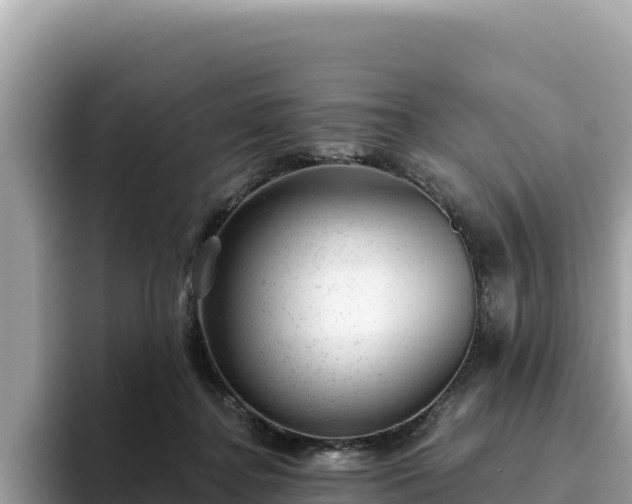 X0000093420364200710191010