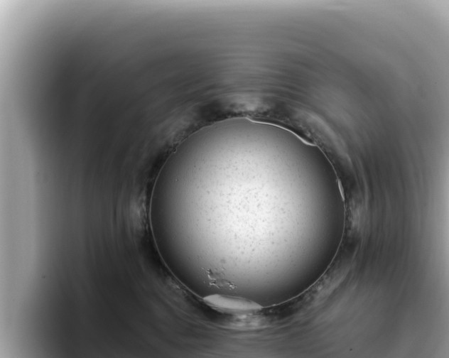 X0000093420376200710191010