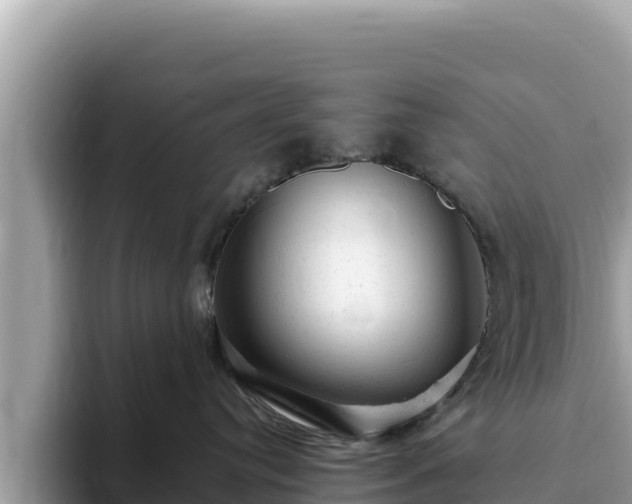 X0000093420384200710191010