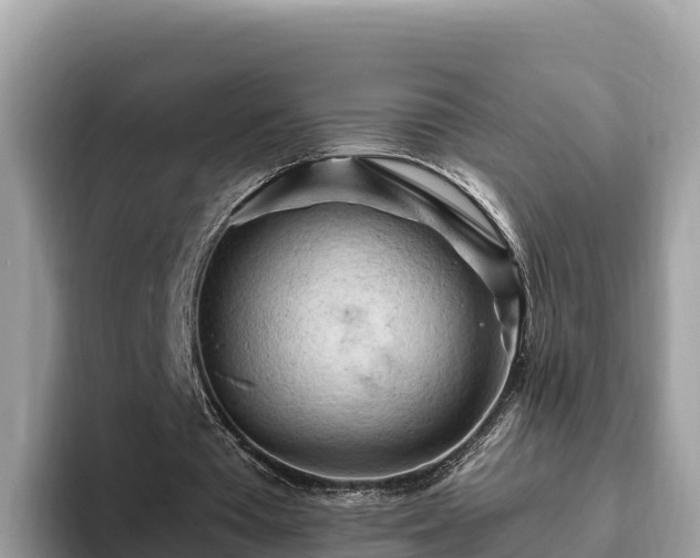 X0000093420385200710191010