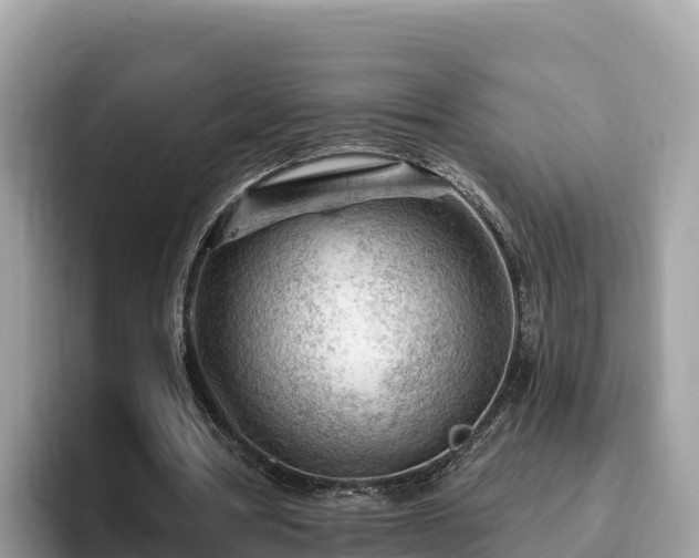 X0000093420386200710191010