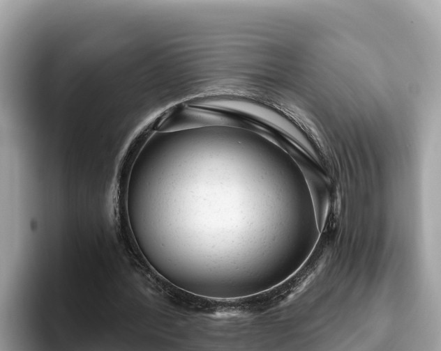 X0000093420388200710191010