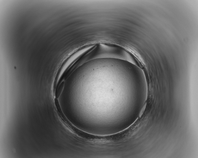 X0000093420389200710191010