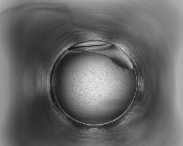 X0000093420390200710191010