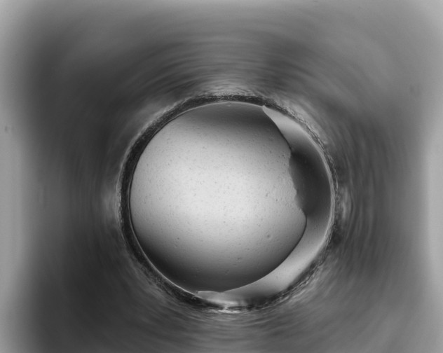 X0000093420391200710191010