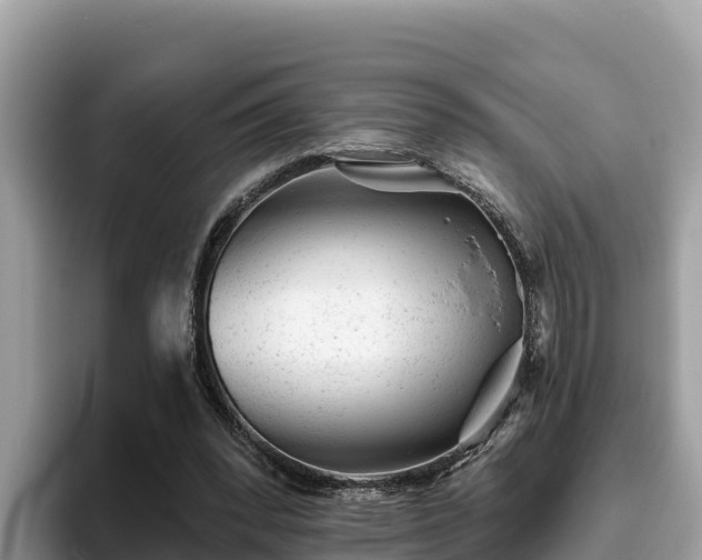 X0000093420392200710191010