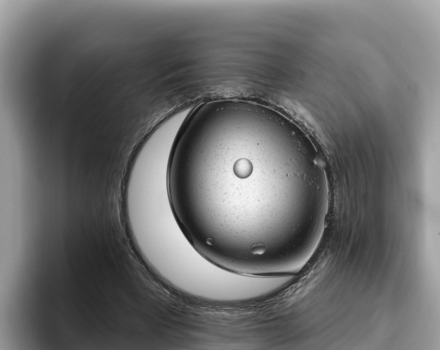 X0000093420393200710191010