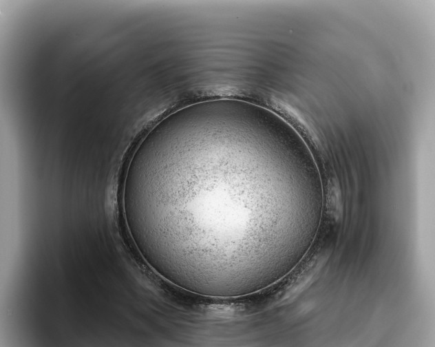 X0000093420394200710191010