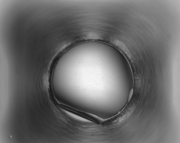 X0000093420395200710191010