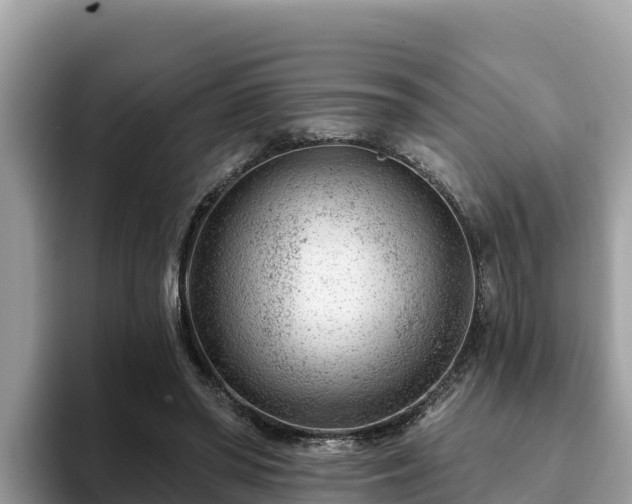 X0000093420398200710191010