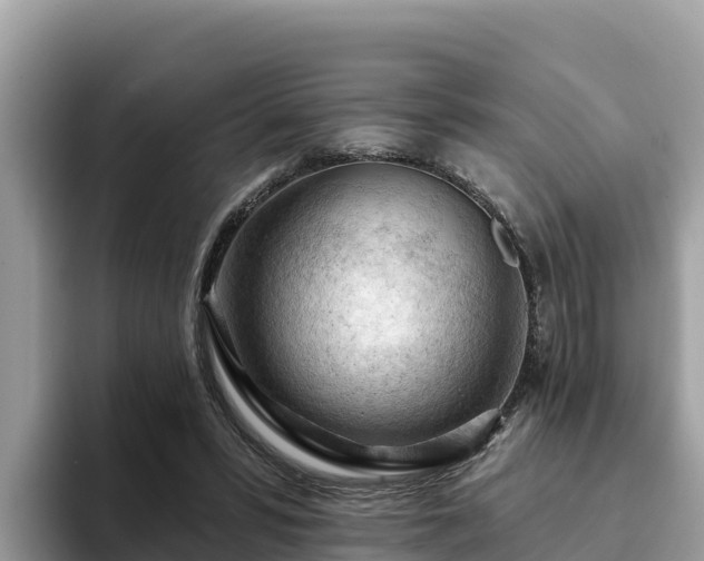 X0000093420399200710191010