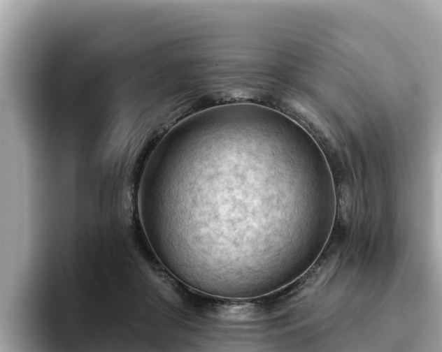 X0000093420410200710191009