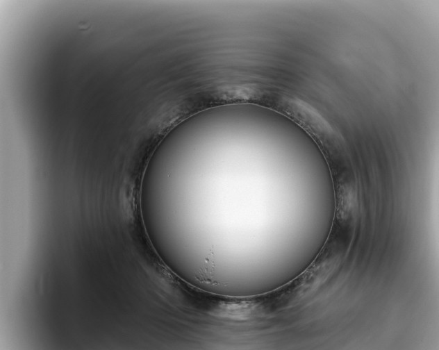 X0000093420414200710191009