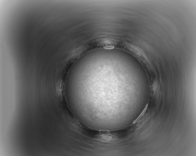 X0000093420423200710191009