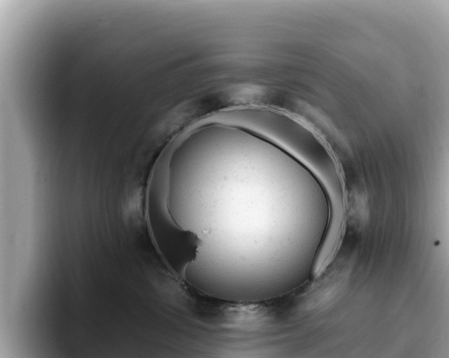 X0000093420428200710191009