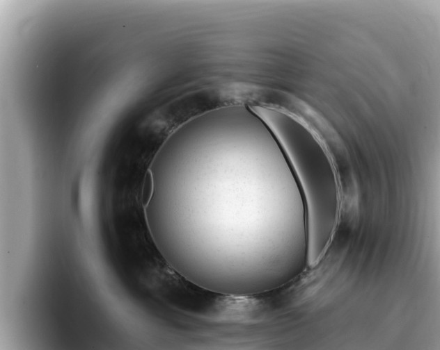 X0000093420429200710191009