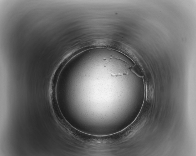 X0000093420435200710191009