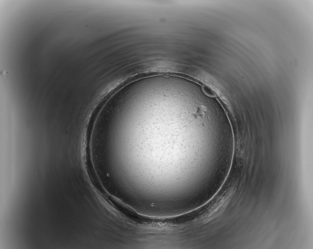 X0000093420437200710191009