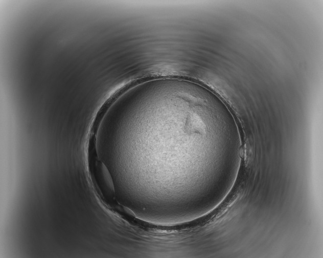 X0000093420438200710191009