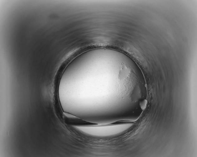 X0000093420440200710191009