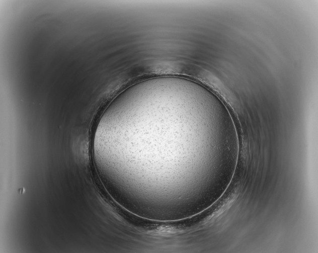 X0000093420441200710191009