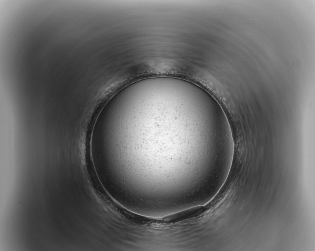 X0000093420442200710191009