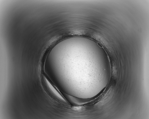 X0000093420444200710191009