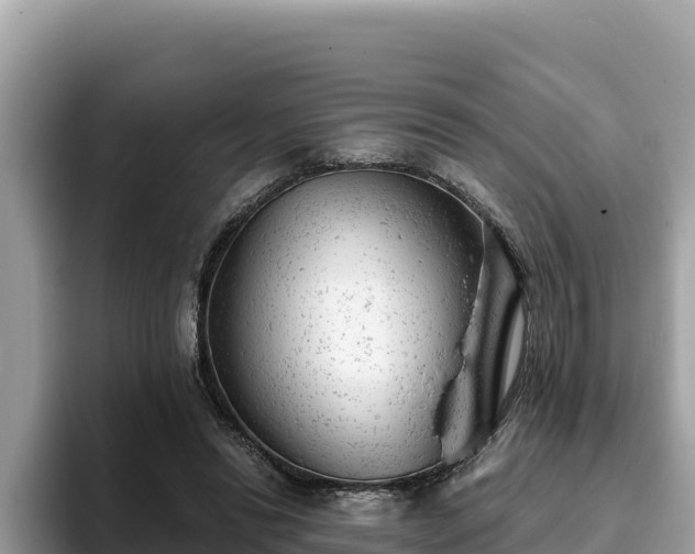 X0000093420446200710191009